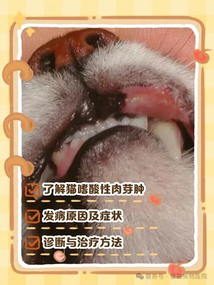 微信图片_2025-09-18_114612_243.jpg